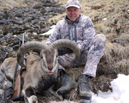 Blue Sheep and Tahr Hunting in Nepal