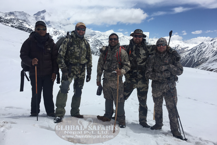 Bluesheep and Himalayan Tahr hunting