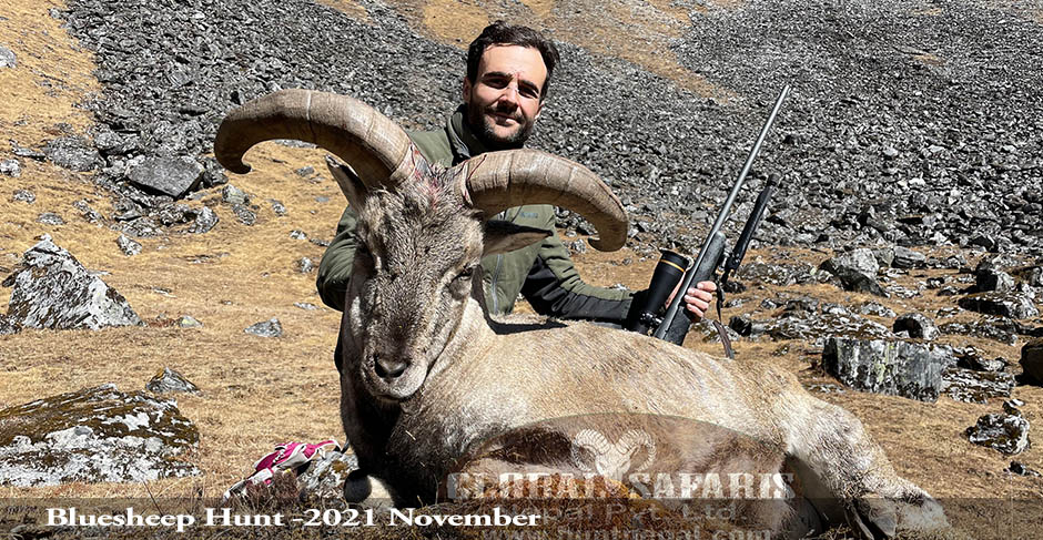 Nepal sheep hunting