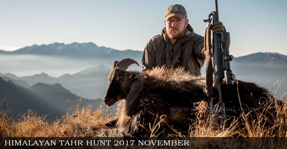 Himalayan Tahr Hunting October 2017
