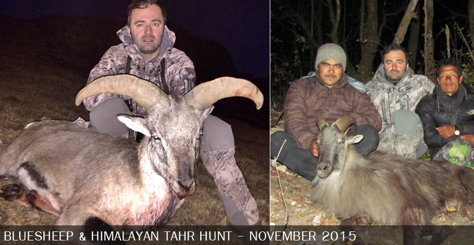 Blue and Himalayan Tahr hunt November 2015