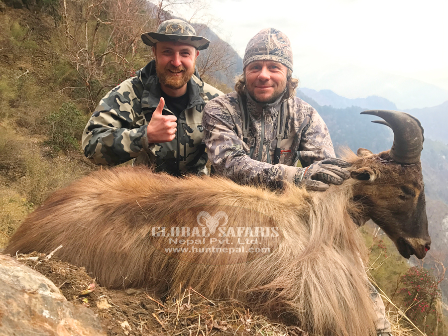Himalayan Tahr Hunting April 2018