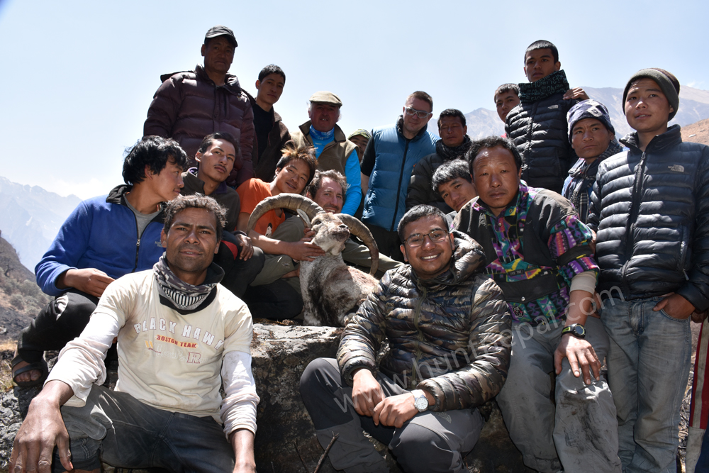 Bluesheep Hunting in Nepal