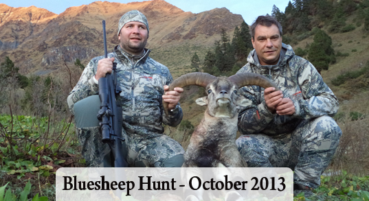 Bluesheep Hunt 2013