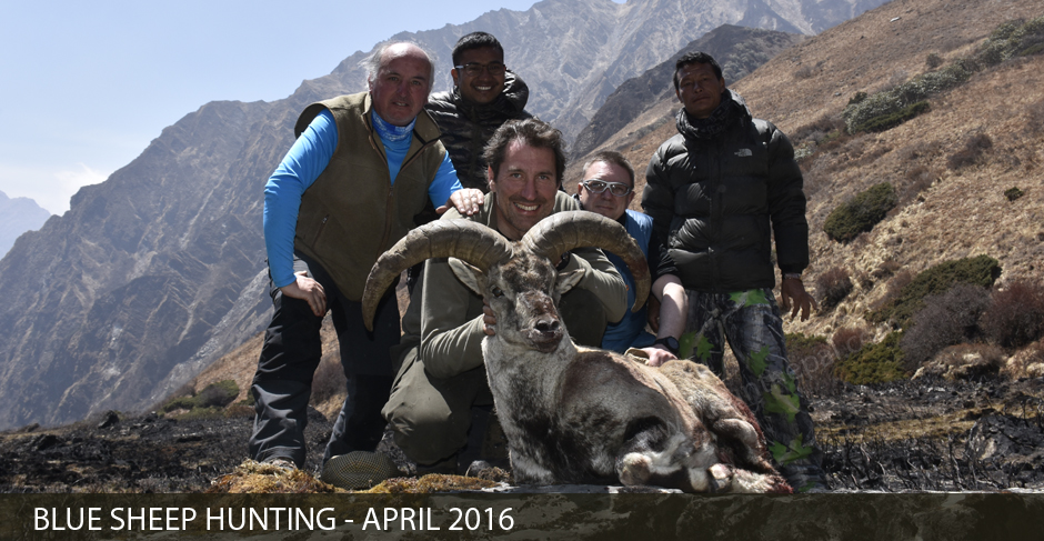 Blue Sheep Hunt April 2016