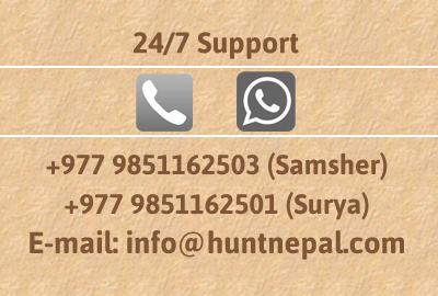 Contact Details