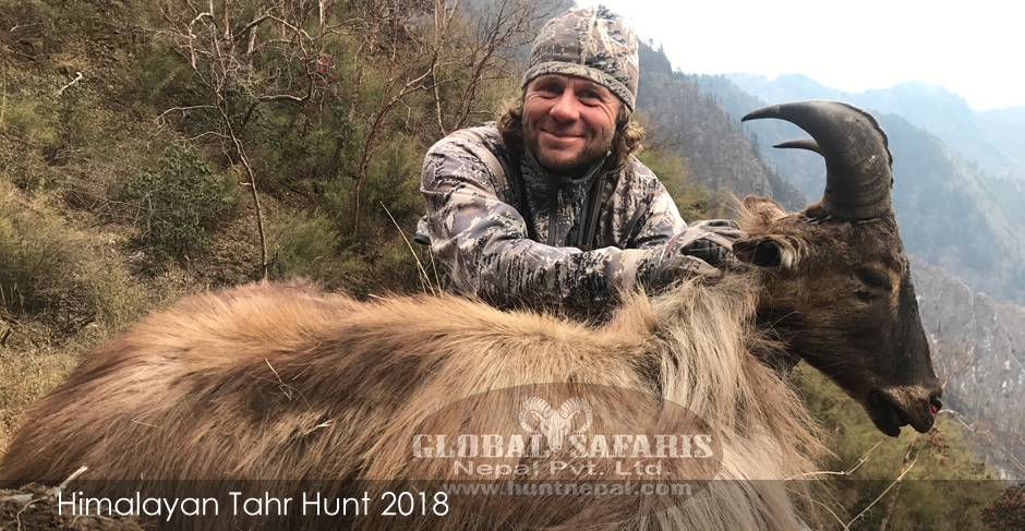 Himalayan Bluesheep Hunting 2018