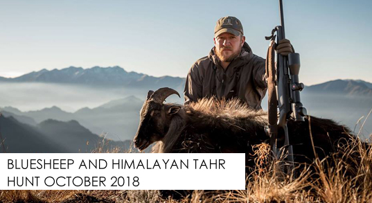 Bluesheep and Himalayan Tahr Hunting