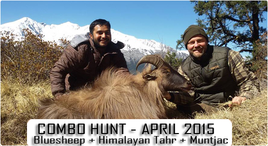 Nepal Bluesheep Hunting