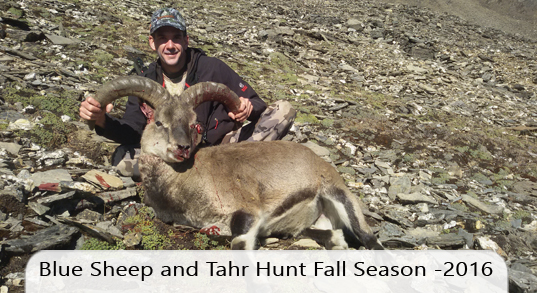 Bluesheep and Tahr Hunting fall season 2016