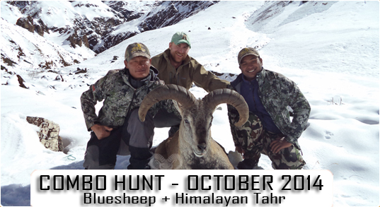 Bluesheep and Himalayan Tahr Hunting